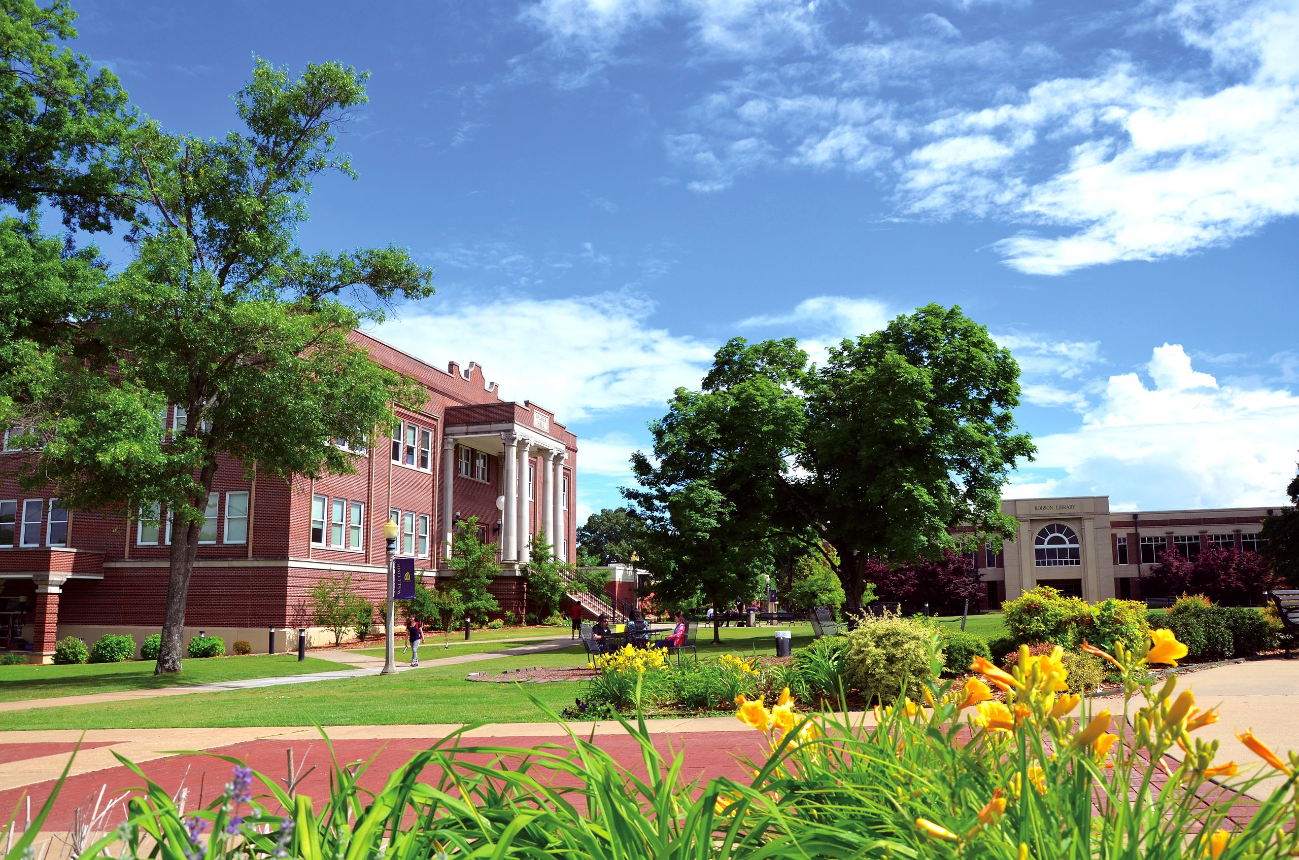 Psychology – Best of the Southeast: Baccalaureate Colleges with Diverse Fields